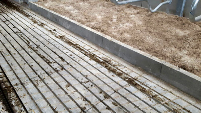 Bugschwelle Bugschwelle